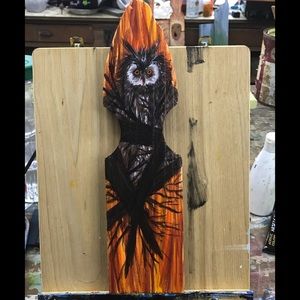 Hand Painted Owl Wall Hook
